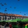 Manifestacija "Bum market" za vikend na pijaci "Zemun"