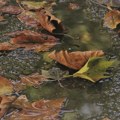 Oblačno i kišovito vreme u Srbiji: Temperatura do 15 stepeni, kiša se očekuje i tokom vikenda