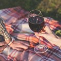 (Foto) otvoren Pančevo Wine Weekend Pogledajte kako je bilo prvog dana festivala u Narodnoj bašti vrhunska umetničko-vinska…
