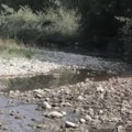 Ribe uginule, korito suvo, a ekosistem na ivici potpunog kolapsa: Šokantni prizori sa Ibra