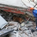 Da li psi imaju "šesto čulo" za zemljotrese i opasnosti? FOTO