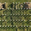 Odavanje pošte žrtvama Srebrenice - 31 godina od zločina koji je potresao svet