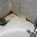 Genijalan trik briše buđ dok vi spavate: Zaboravite na ribanje, jedna žena je otkrila kako da očistite crne ivice u kupatilu…