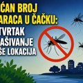 Zbog povećanog broja komaraca: U četvrtak zaprašivanje na teritoriji Čačka