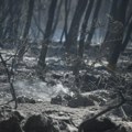 Zbog požara na Braču evakuisano više od 700 osoba