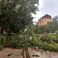Tragedija izbegnuta za dlaku: Nevreme oborilo ogromno stablo na ulicu u centru grada, pukom srećom ulica bila prazna (foto)