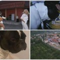 Veselje koje će se prepričavati 100 zvanica na psećem rođendanu; Mladenovići iz Grocke nisu žalili para za proslavu…