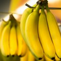 Divlja životinja iz džungle prestravila radnike supermarketa Sakrila se među bananama, kupci u neverici! (foto)