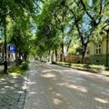 Zelenila dovoljno samo statistički: Subotica znatno nadmašuje evropski prosek, ali sugrađani smatraju da su im malo 183…