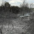 У С. Македонији 30-дневно кризно стање због пожара