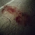 Lovočuvari prijavili krivolov kod Prokuplja: Usred noći videli čoveka sa puškom, pa im pobegao! Sad pojačana kontrola