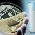 Pomaže li jogurt u lečenju vaginalnih gljivičnih infekcija: Koji treba izabrati i kako se koristi?