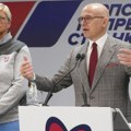 Vučević o incidentima: Napad na Ljiljanu Cvjetković u Novom Sadu predvodio Ilija Srđanović