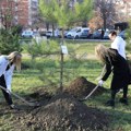 Do 2027. Godine grad novi SAD planira da ozeleni javne površine! Fokus je na vrtićima i školama - evo gde da se prijave