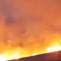 Požar pored auto-puta Novi Sad-Subotica, gori nisko rastenje