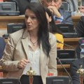 Marinika Tepić Stojanu Radenoviću: Iskreno sam zabrinuta za vas