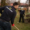 Forma Ideale podržava očuvanje prirode – sadnice kao poklon gradu Pančevu