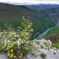 Natpis „Tito“ na brdu u Sloveniji razbesneo italijanske ultradesničare: „Ovo je provokacija“