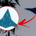 Nova misteriozna letelica snimljena u vazduhu! Borbeni avion budućnosti seče nebo iznad Kine: Svi se muče sa ovim dizajnom, a…