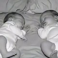 Milioni grcaju u suzama Pogledajte snimak dve bebe i mačeta koji topi i najtvrđa srca! (video)