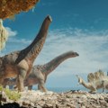 Neverovatno otkriće Pronađeno jaje dinosaurusa staro 70 miliona godina - naučnici u čudu, sada se pitaju samo jedno