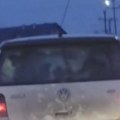 Snimak iz Šapca šokirao ljude! Dva teleta započela avanturu na zadnjem sedištu auta