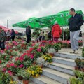 У петак почиње Сајам хортикултуре у Крагујевцу