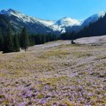 Izgleda kao na Alpima, a cene im nisu švajcarske: Ova evropska destinacija je pravi biser za odmor