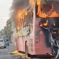 Zapalio se autobus u Krnješevcima, požar ugašen