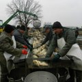 Sve se manje ribe i proizvodi i jede u Srbiji