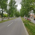 Evropska Mitrovica: Dalje ozelenjavanje grada jedan je od prioriteta programa Evropske Mitrovice