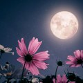 Horoskopski znaci kojima će pun Mesec ispuniti sve želje: Neobičan tranzit u Jarcu doneće im sreću, a očekuje ih i…