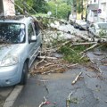 Nevreme paralisalo vrnjačku banju: Jak vetar iščupao drvo, ono palo na automobil i uništilo ga (foto)