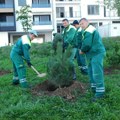 Povodom rođendana JP "Srbijašume": Loznica dobila 33 sadnice stabala