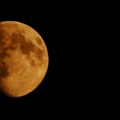 "Noć muzeja": Tradicija duga 20 godina - Izložbe i programi za pamćenje (foto)