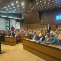 Skupština Novog Sada usvojila inicijativu za podizanje spomenika, opozicija napustila sednicu