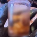 Ljudski fetus u staklenoj boci pronađen u stanu Jezivo otkriće u Grčkoj (foto)