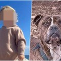 Lovci pucali i uplašili pitbula, on rastrgao dečaka (2)! Majka i otac bespomoćno gledali horor koji se odvijao pred njima…