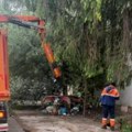Uklonjena divlja deponija u Ševinoj ulici u Zemunu: otpad bio razbacan od dvorišta nesavesnog stanara pa sve do trotoara