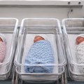 Nezapamćeno slavlje kod Tomića! Trojica braće postali dede istog dana: Prva na svet stigla devojčica Mara, a za njom i dva…