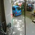 Niš, moj grad: Pad grane na sugrađanku upozorenje da je zelenilu u Nišu potrebno stručno održavanje