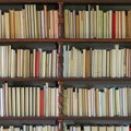 Posle španskog priznavanja Palestine i prva kulturna saradnja: U Barseloni otvorena biblioteka palestinskih književnika