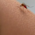 Prvi smrtni slučaj od virusa Zapadnog Nila u Severnoj Makedoniji