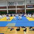 Pirotski džudisti među olimpijskim džudo nadama i na Trofeju Partizana