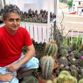 Nišlija Boban Stanković za tri decenije prikupio 1.500 vrsta kaktusa