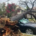 Dramatični prizori iz Kalifornije: Uragan Hilari čupao drveće, plavio puteve