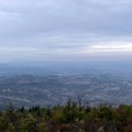 Nekada dominantno ratarski i stočarski kraj, a danas se okreću voćarstvu: Najdomaćin stiže u Mladenovac u petak