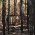 Tri nedelje od požara u vikend naselju Vinci, bez zvaničnog saopštenja o tome ko je odgovoran (VIDEO)