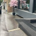 Uhapšen osumnjičeni da je bacio Molotovljev koktel na poznati restoran na Čukarici