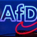 AfD dominira u anketama, vlada gubi podršku građana Saksonije-Anhalt